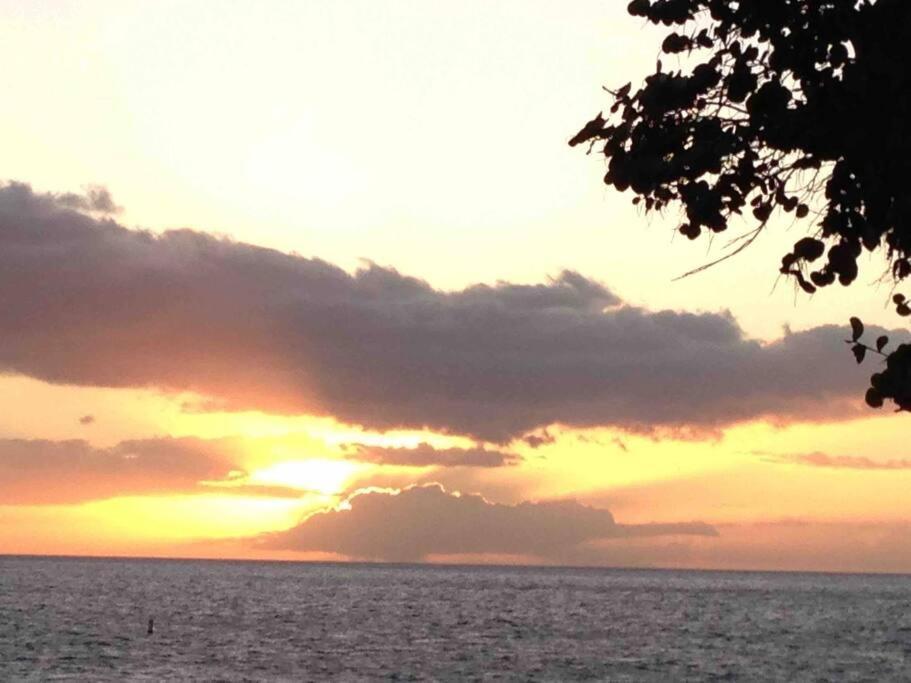 Unrivaled S Maui Location! Walk To It All! Appartement Kihei