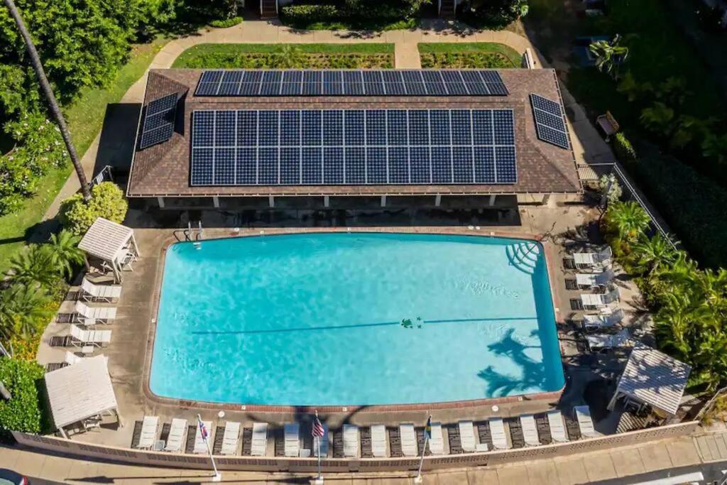 Unrivaled S Maui Location! Walk To It All! Appartement *